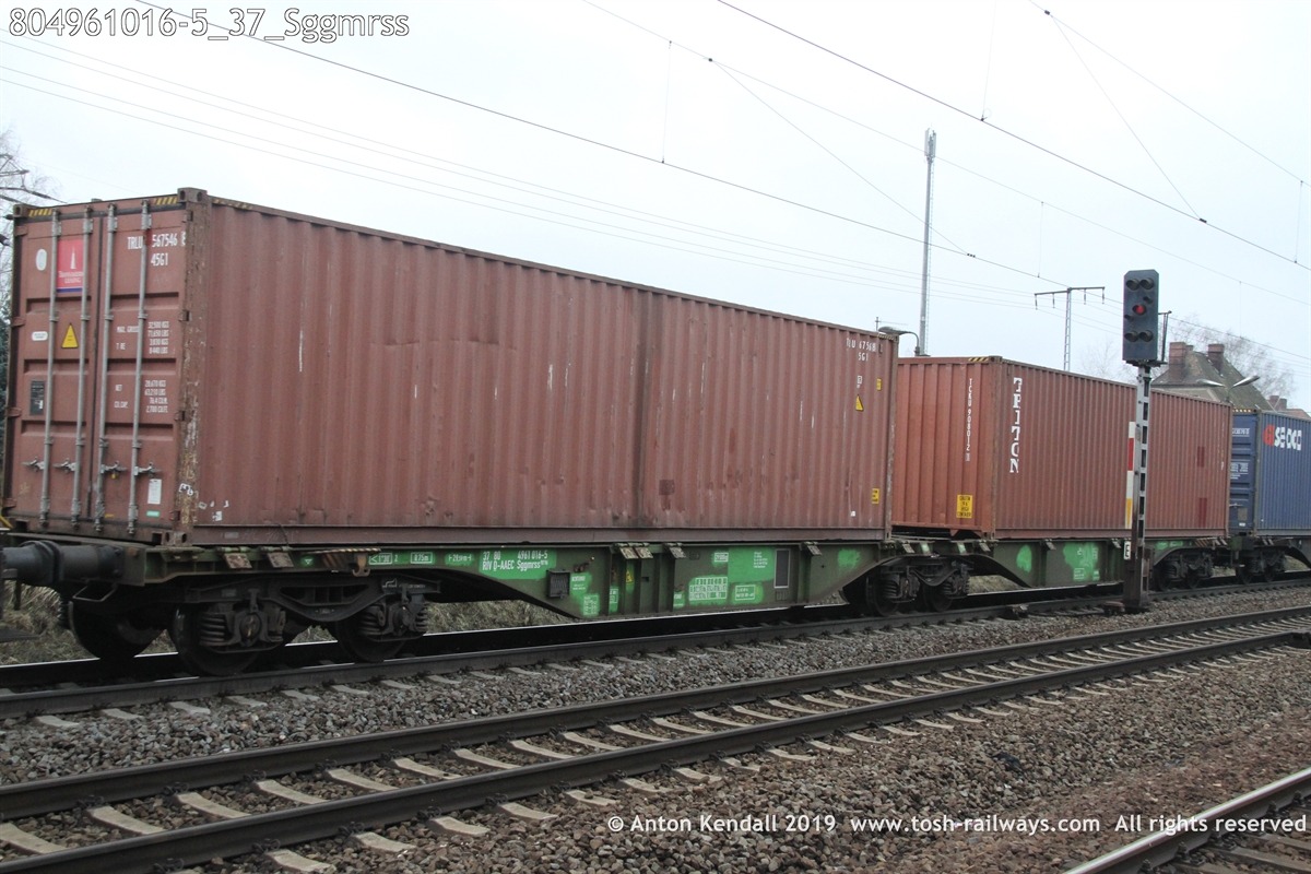 804961016-5_37_Sggmrss.JPG